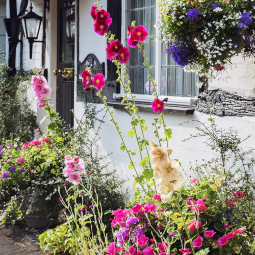 15 Best Cottage Garden Flowers That Are Low-Maintenance