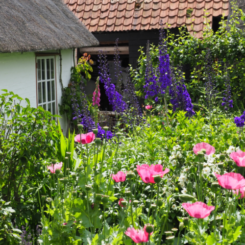 23 Stunning Cottage Garden Design Ideas to Inspire You