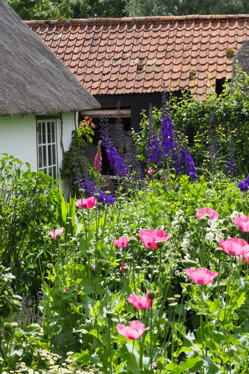 cottage garden design